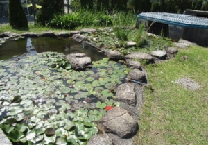 Thumbnail of post image 141