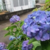 Thumbnail of new posts 134