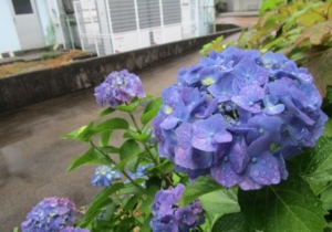 Thumbnail of post image 126
