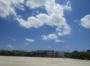 Thumbnail of post image 049