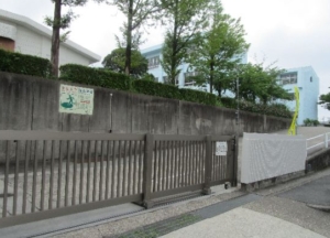 Thumbnail of post image 007