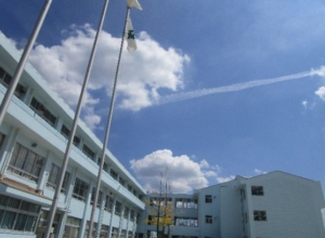 Thumbnail of post image 071