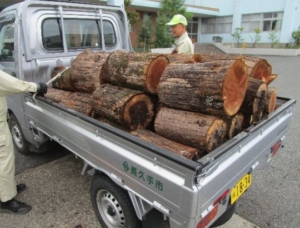 Thumbnail of post image 069