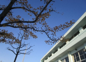 Thumbnail of post image 123