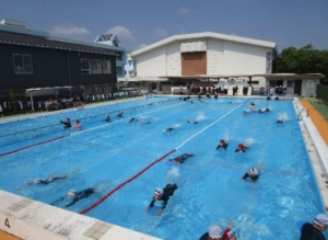 Thumbnail of post image 123