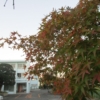 Thumbnail of new posts 160
