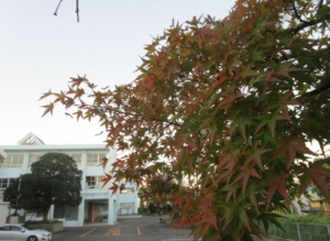 Thumbnail of post image 012